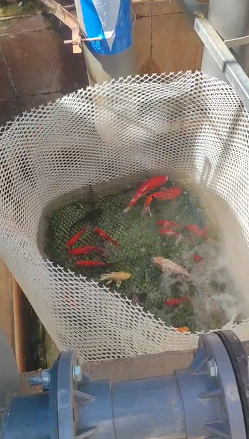  賀我公司承接改造速凍果蔬項(xiàng)目廢水處理出水達(dá)標(biāo)